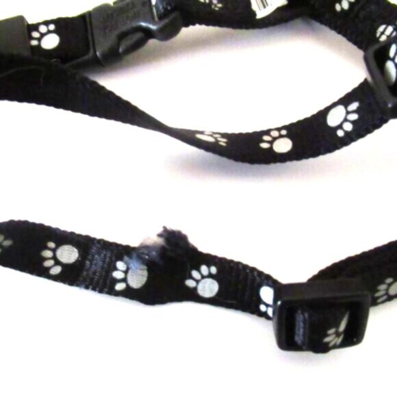 cat harness + long leash - Picture 3 of 3